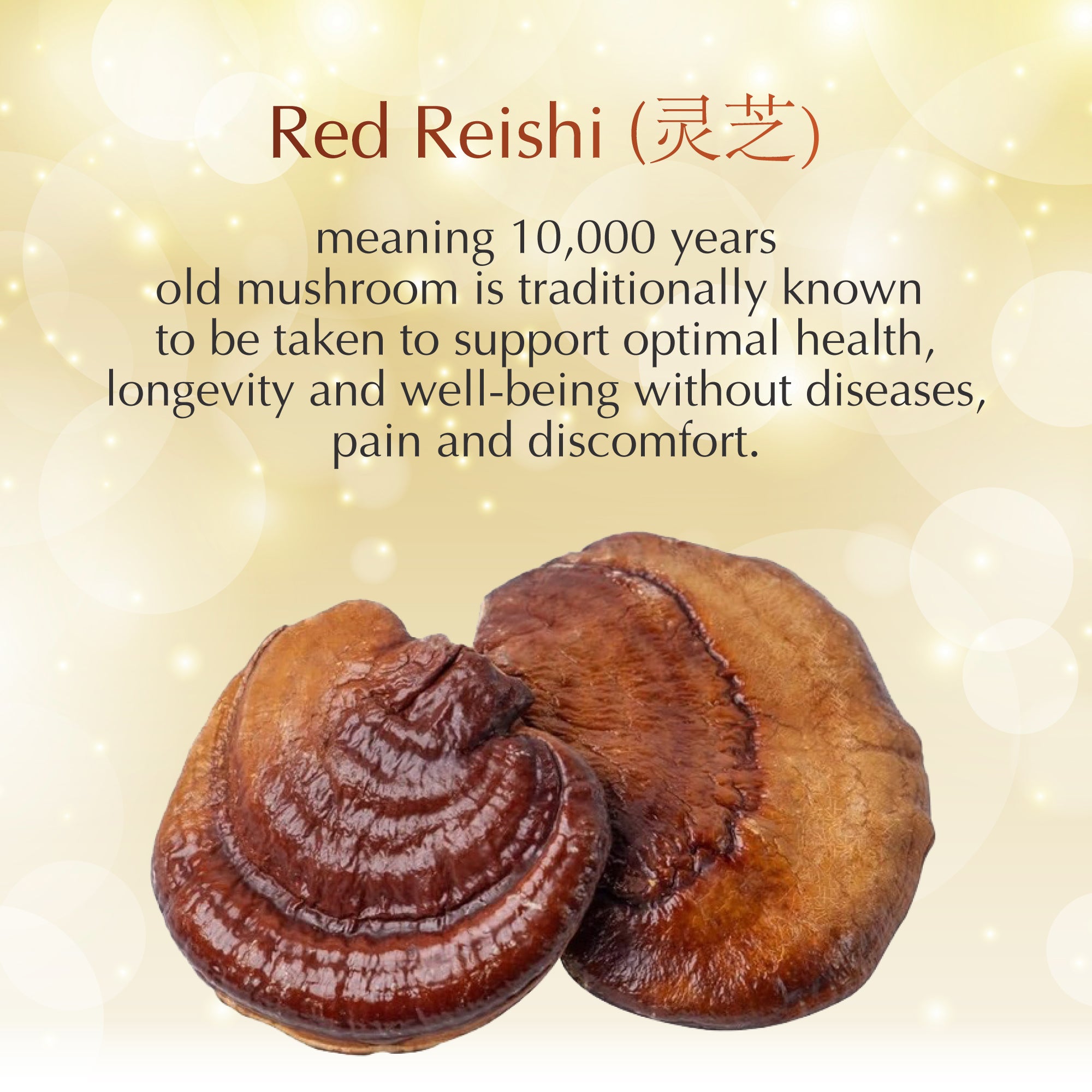 NANO RED REISHI, 70 caps FREEGIFT (NOT FOR SALE)